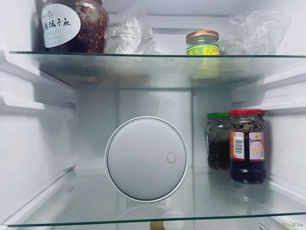 冻肉的家常做法视频_肉冻子的家常做法_做冻肉怎么做好吃