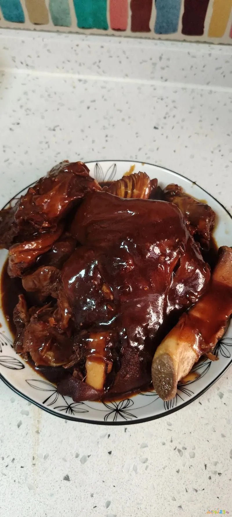 肘子的家常做法_最简单的肘子做法大全_家常肘子的做法最正宗的做法