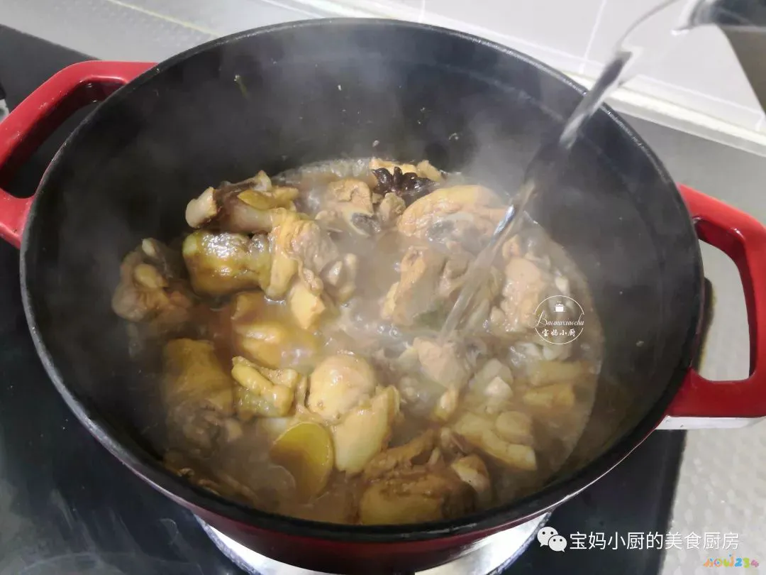 红烧鸡肉炖粉条的做法_鸡肉炖粉条家常做法_鸡肉炖粉条的做法