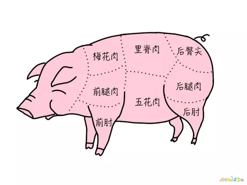 包饺子买什么部位猪肉_文怡家常菜 红烧肉_记住我忘记我