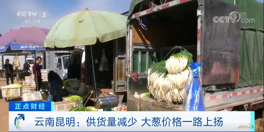 天天饮食十年典藏家常保健菜_10元家常菜_家常爽口菜