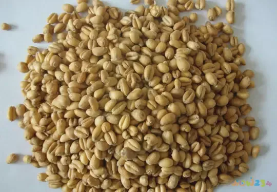 如何做面哨子_面的哨子怎么做简单又好吃_哨子面的家常做法