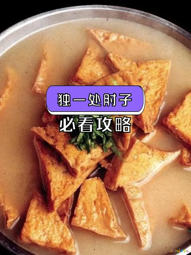 炖肘子秘方_家常炖肘子_家庭炖肘子