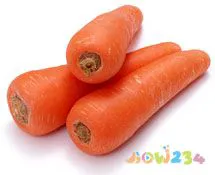 芹菜炒肉家常做法大全_芹菜叶的做法大全家常_芹菜饼的家常做法大全