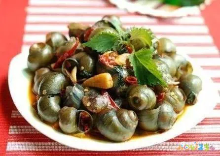 辣炒海丁的家常做法_辣炒海带丝的家常做法_家常辣炒蚬子肉的做法