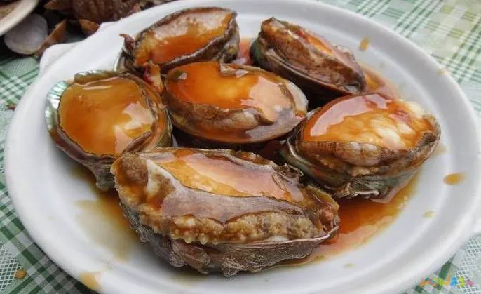 鲜鲍鱼的家常做法_鲜鲍鱼做法麻辣_红烧鲜鲍鱼的家常做法大全