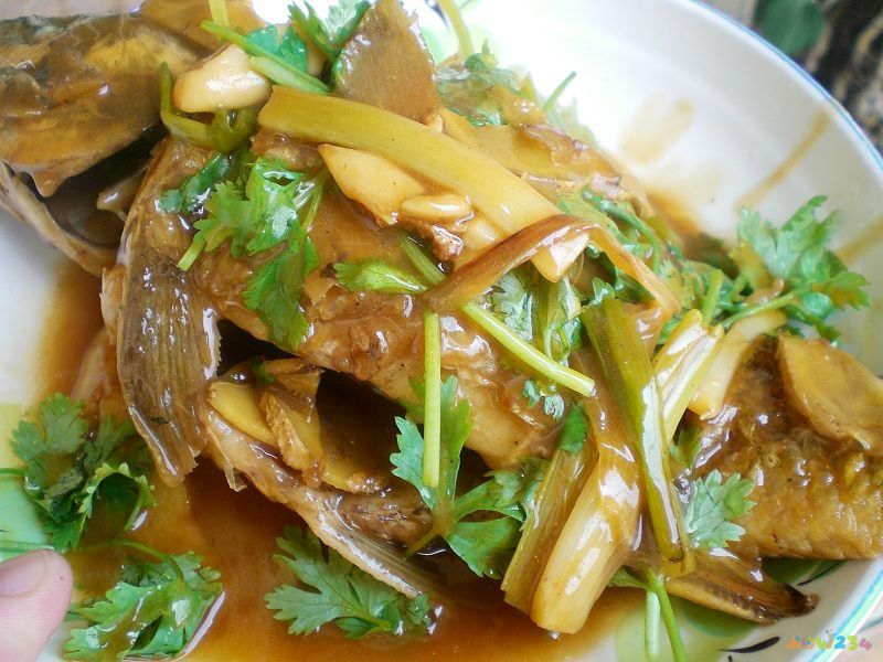 葱烧海参的家常做法 大全_葱烧老豆腐的家常做法_姜葱汁的家常做法