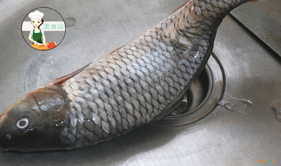 家常鲫鱼的做法最正宗的做法_家常鲫鱼_家常鲫鱼做法