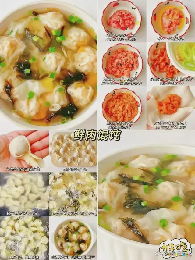 馄饨馅儿的做法视频_正宗馄饨馅视频教程_家常馄饨馅的做法