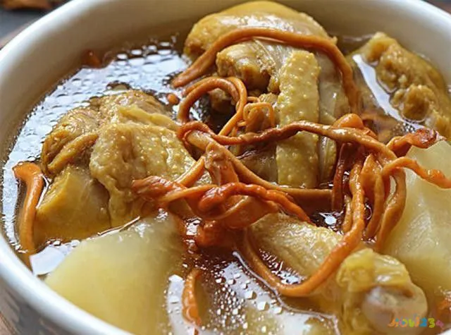 老鸭汤的家常做法大全（13道滋补养气老鸭汤做法）