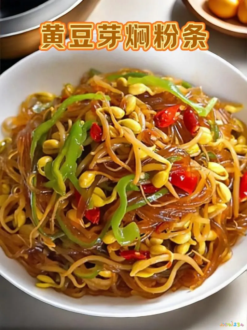 黄豆芽炖粉条家常做法_炖黄豆芽粉条的做法_黄豆芽炖粉条怎么做好吃窍门