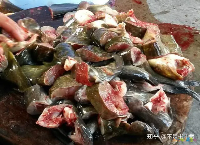 豆角扣肉的家常做法_扣肉家常做法_糯米扣肉的家常做法