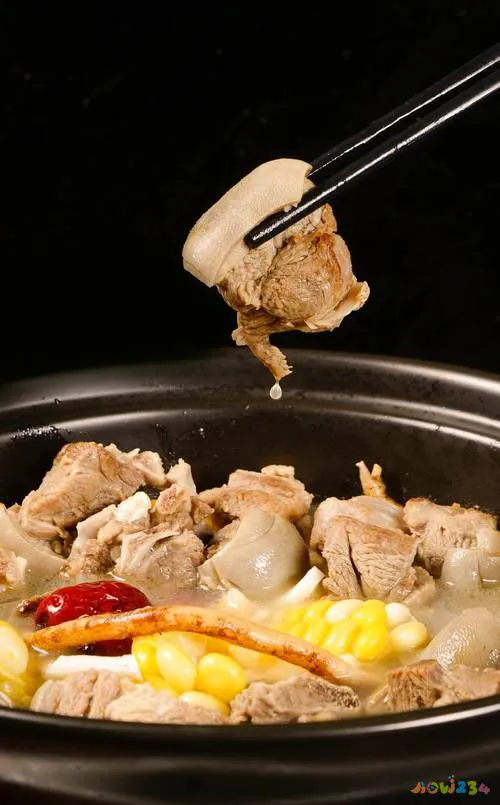 清汤火锅底料的家常做法_火锅底料清汤的做法和配方_火锅底料清汤怎么配