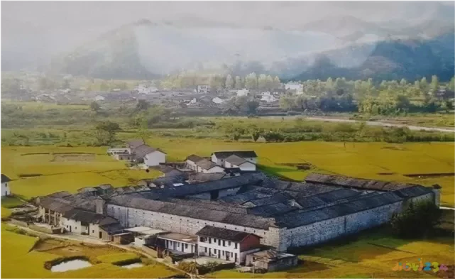 赣南清火菜_最爱吃的家常肉菜_赣南家常菜