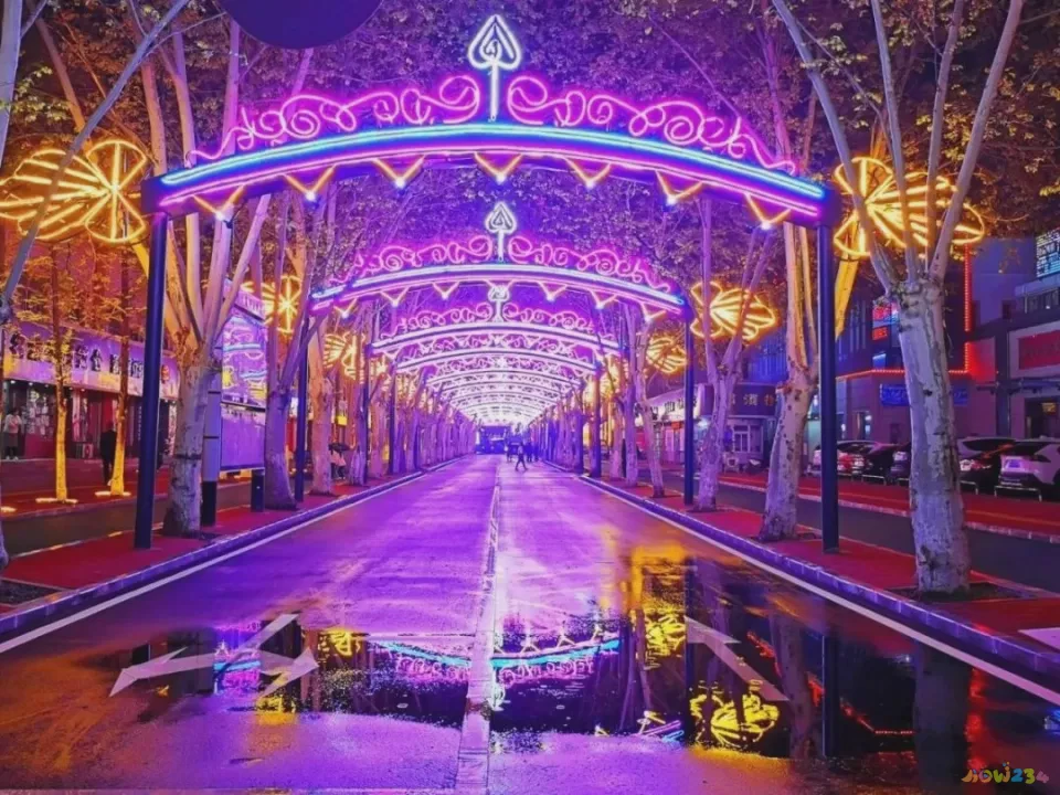 豆豉回锅肉的家常做法_家常做法豆豉回锅肉窍门_家常做法豆豉回锅肉视频