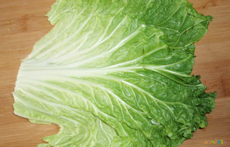 猪肉家常菜100例_猪肉家常菜有几种做法_家常菜 猪肉