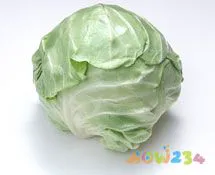 芹菜炒肉家常做法大全_芹菜饼的家常做法大全_芹菜叶的做法大全家常