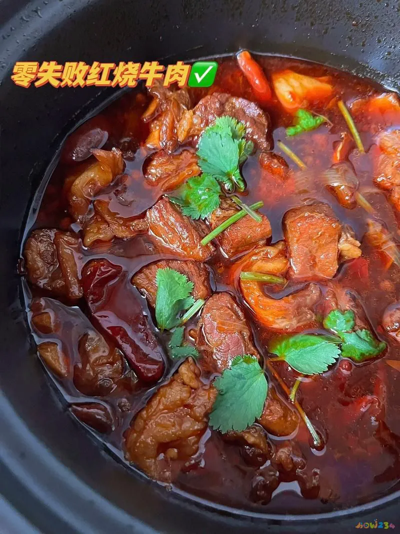 牛肉家常红烧做法大全_家常红烧牛肉_牛肉做法红烧