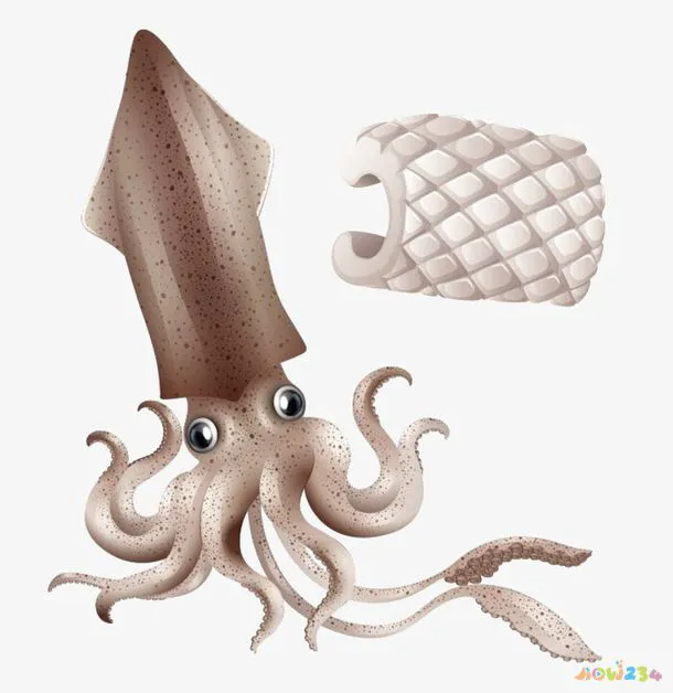 湘菜鱿鱼做法大全家常_鱿鱼汤的做法大全家常_鱿鱼蒸的做法大全家常