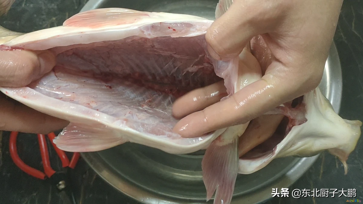 家常炖鲤鱼的做法_炖鲤鱼家常做法最好吃_排骨炖鲤鱼家常做法