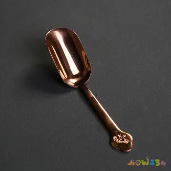 番茄酱排骨的家常做法_南瓜蒸瘦肉做法大全家常做法视频_粉蒸排骨的家常做法