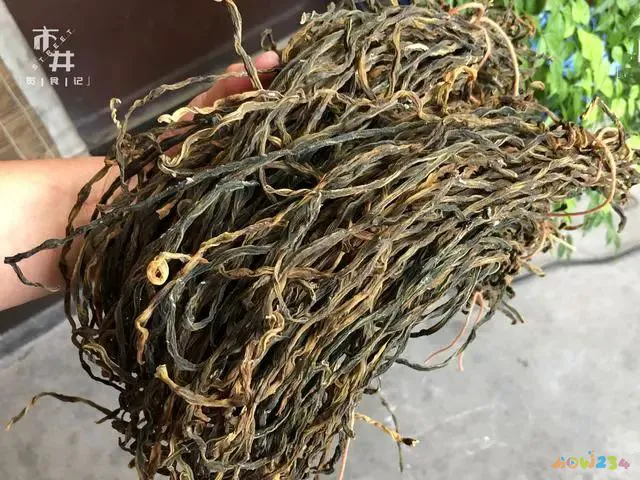 炖肉的家常做法_家常豆角炖肉做法视频_酸菜炖肉的家常做法