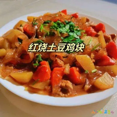 土豆红烧鸡块的正宗做法（简单版红烧土豆鸡块）(11)