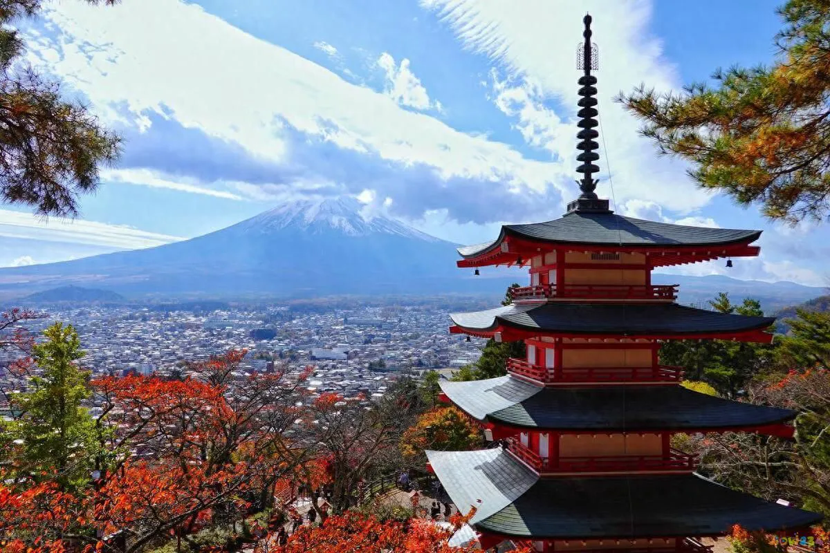 鸡蛋家常做法鱼香肉丝视频_鱼香鸡蛋的家常做法_鸡蛋做鱼的方法