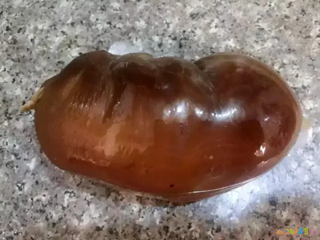 最简单的肘子做法大全_肘子的家常做法简单好吃_肘子的家常做法