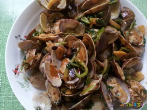 扇贝的家常做法＝_扇贝的家常做法_扇贝的家常做法14款