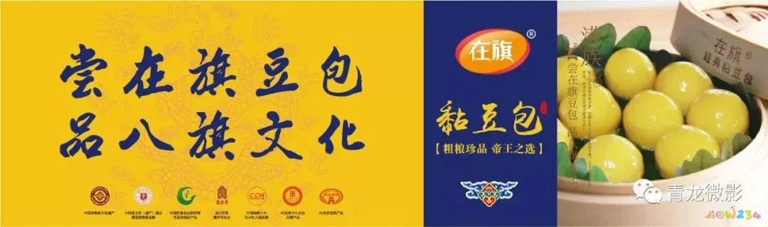 白菜家常做法焖饼视频_白菜家常做法焖饼怎么做_白菜焖饼的家常做法