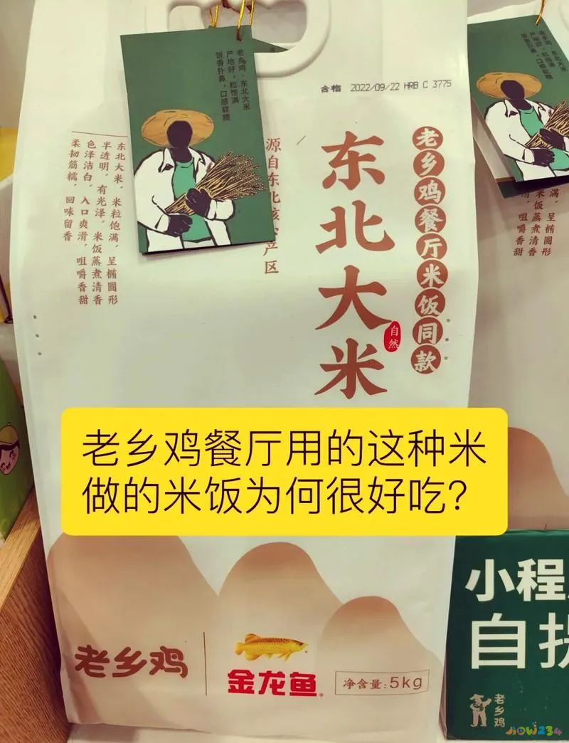 家常大全肉菜做法视频_家常大全肉菜做法简单_家常肉菜做法大全