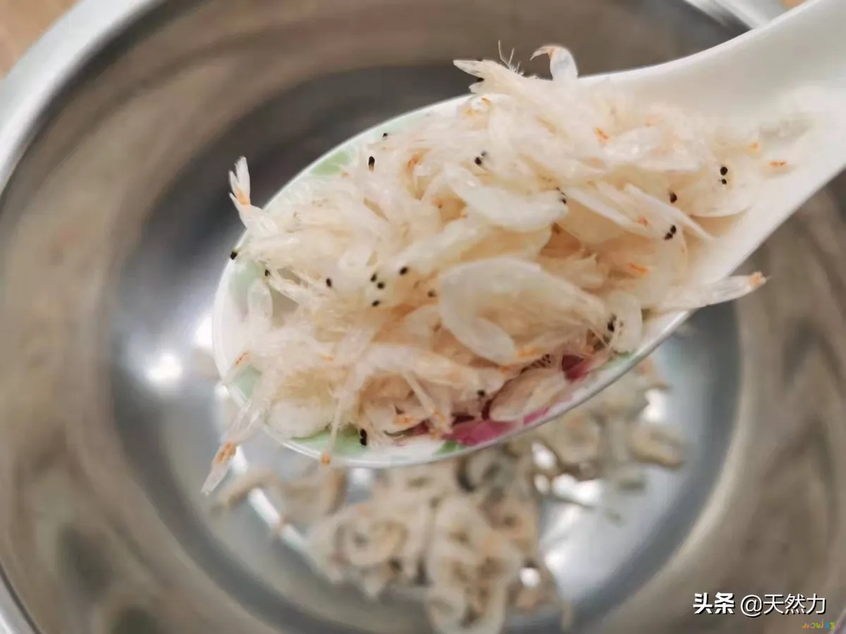 排骨白萝卜煲汤的做法（家常老火靓汤之萝卜排骨汤）