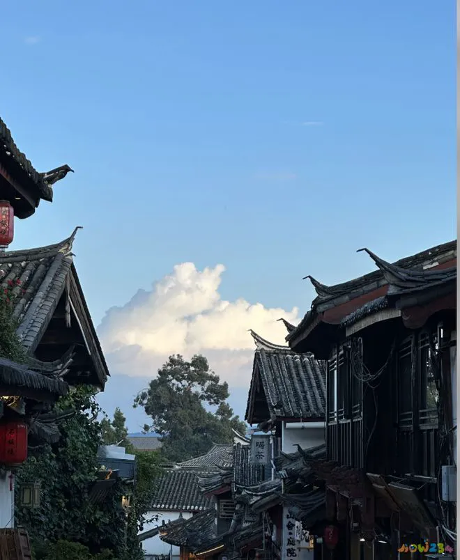 家常滚汤类菜谱大全_家常滚汤_滚汤菜谱