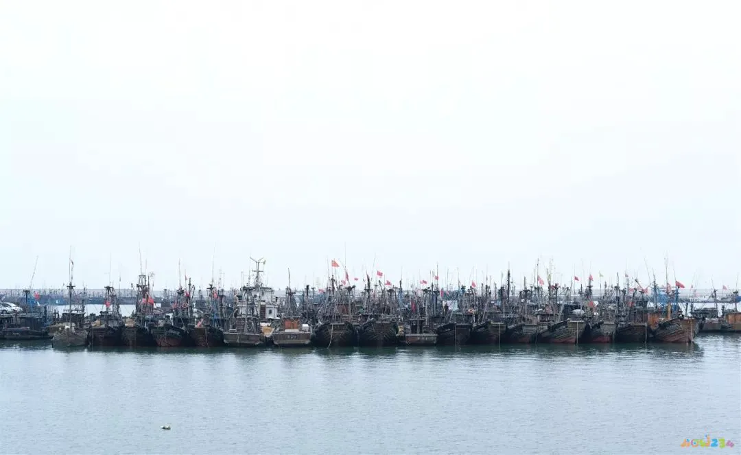 家常清蒸鸦片鱼的做法_家常做法清蒸鱼鸦片怎么做_清蒸鸦片鱼图片无水印