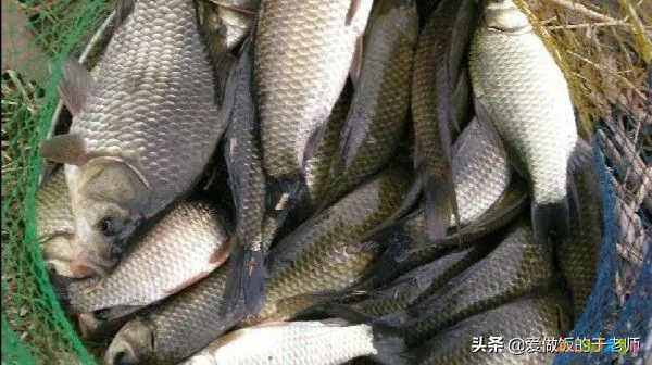 丁栾熬馍的家常做法_河南熬菜的家常做法_天津家常熬鱼做法