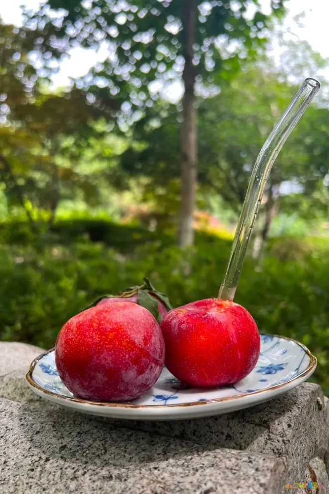 羊肉的红烧做法_红烧羊肉的家常做法 大全_羊肉红烧的做法大全家常