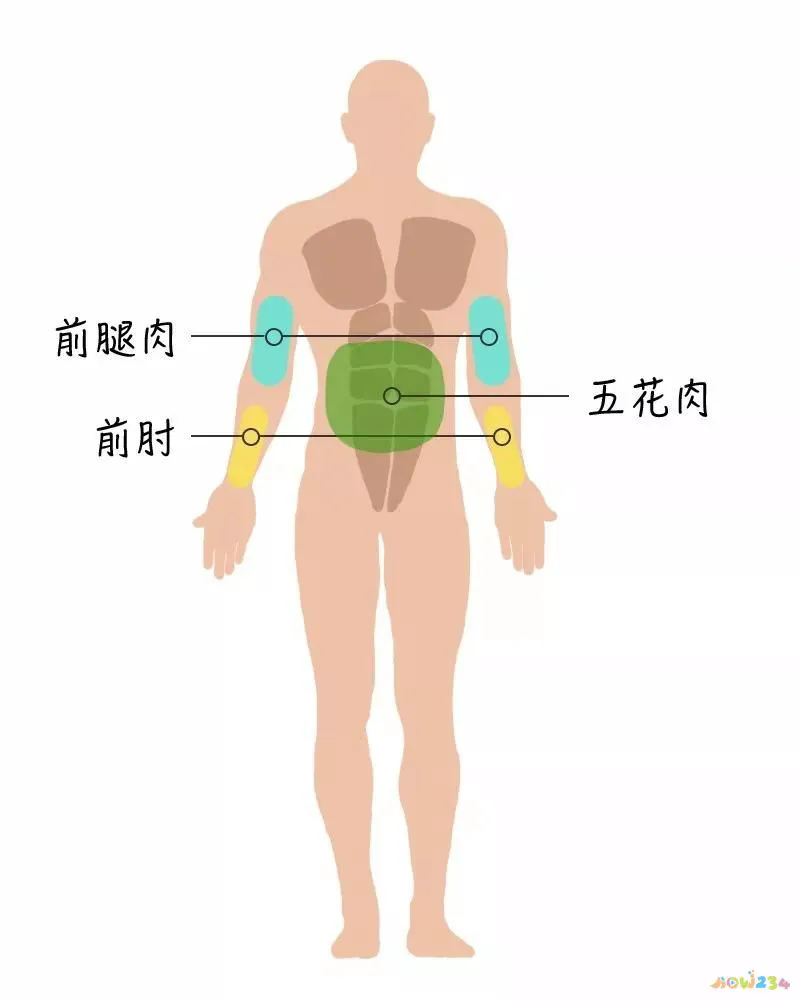 包饺子买什么部位猪肉_文怡家常菜 红烧肉_记住我忘记我