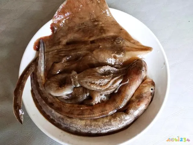 家常炖海杂鱼_鱼杂炖豆腐的做法_鱼炖茄子的家常做法