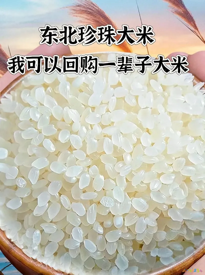 家常大全肉菜做法视频_家常肉菜做法大全_家常大全肉菜做法简单