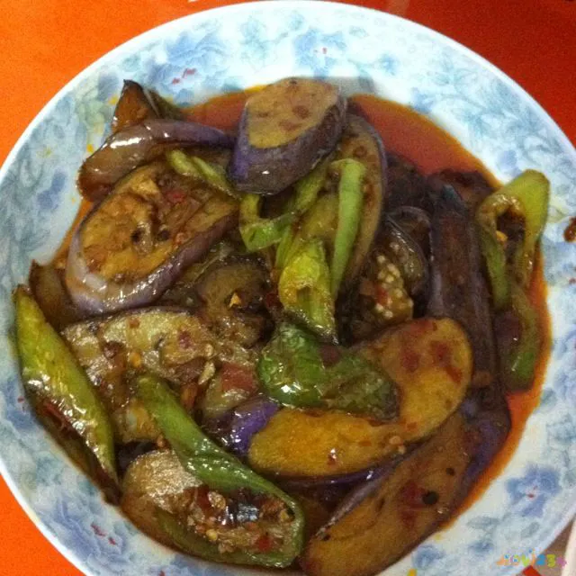 肉烧茄子的家常做法_酱烧肉末茄子的做法 家常_肉焖茄子做法大全家常