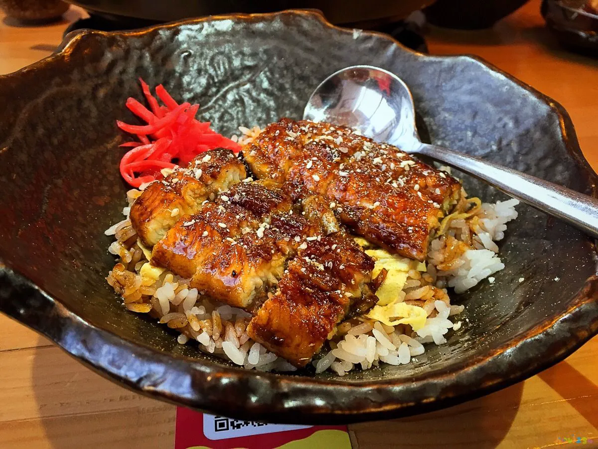 鳗鱼的家常做法_鳗鱼烧肉做法大全家常_可乐鸡翅的家常做法 家常