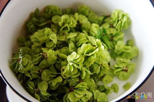 榆树钱有哪些美味的做法？ 1