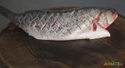 家常做法烤鱼视频教程_烤鱼的家常做法_家庭做法烤鱼