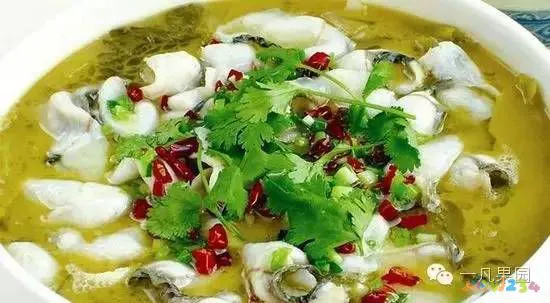 酱鱼的家常做法大全_杂酱面的家常做法大全_酱鸡胗做法大全家常