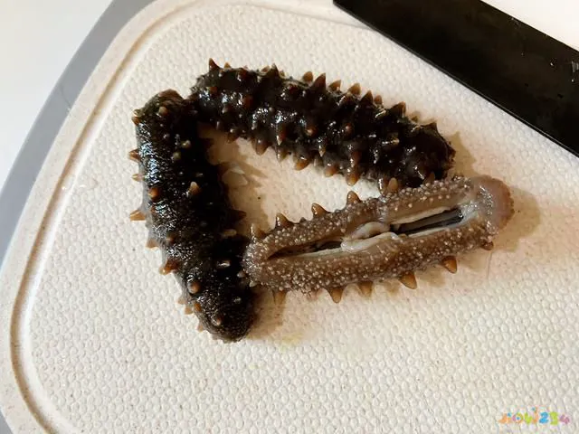 家常葱烧海参_葱烧海参的家常做法_葱烧海参的家常做法 大全