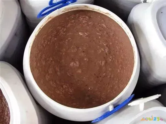 白菜焖饼的家常做法_白菜家常做法焖饼视频_白菜家常做法焖饼怎么做