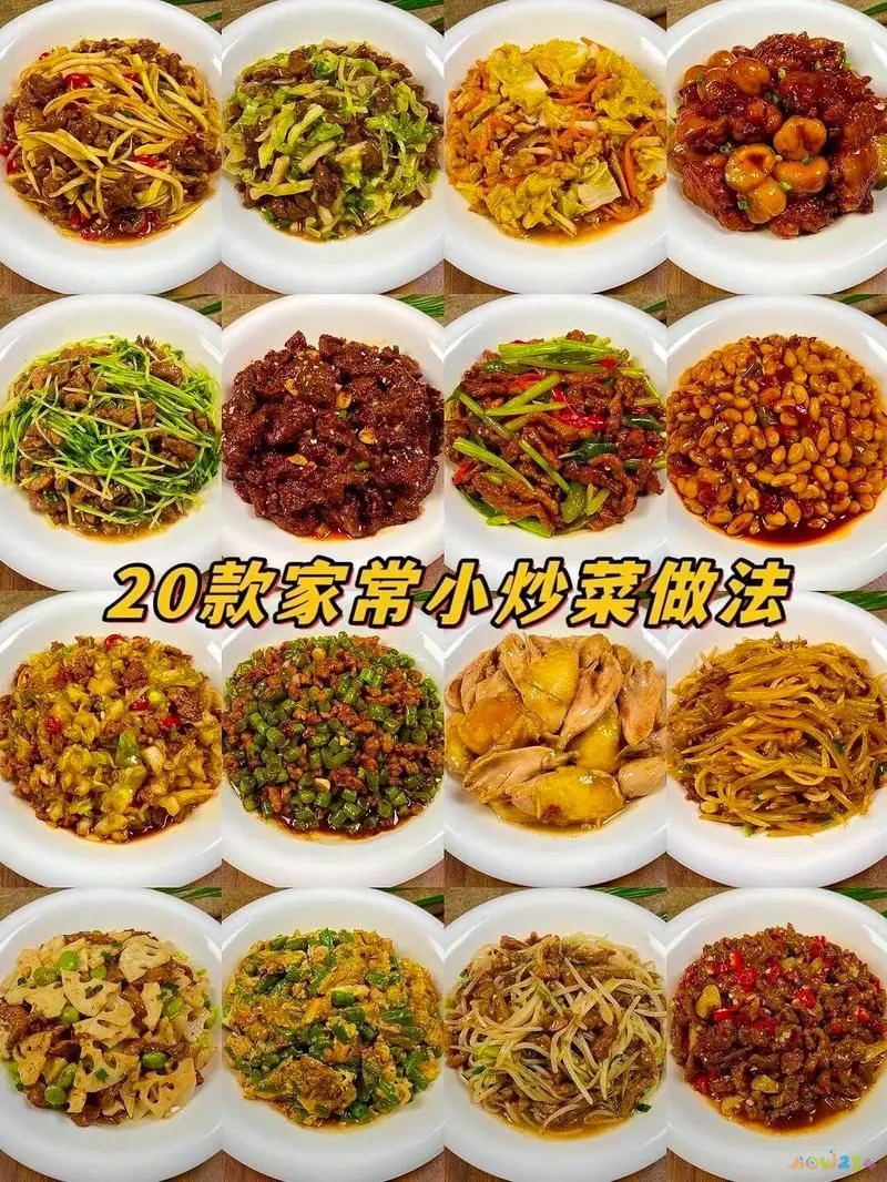 家常小炒菜_家常小炒_家常小炒有哪些