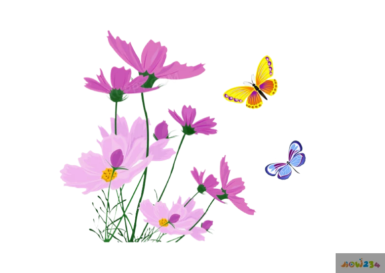 家常菜做法讲解_教我做家常菜_做家常菜教程