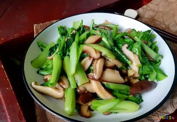 茄子家常肉丝做法窍门_茄子家常肉丝做法大全_茄子肉丝的家常做法